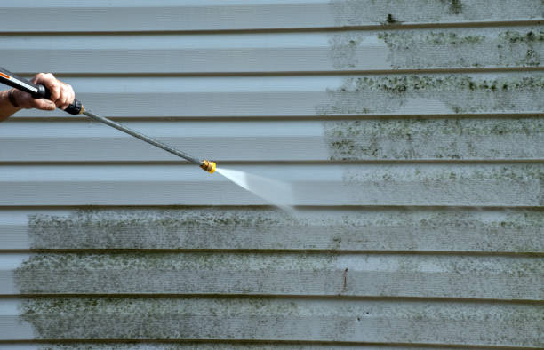 Best Patio and Deck Pressure Washing  in Oakdale, NY